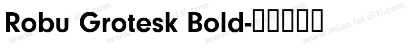 Robu Grotesk Bold字体转换